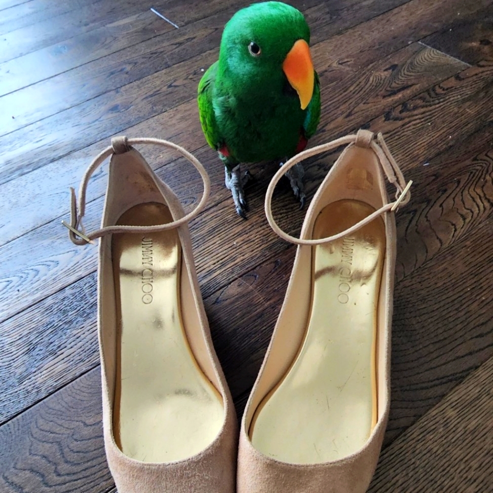 Jimmy Choo Platform Peep Toe Sandals